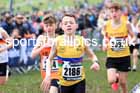 Boys Under-13s, 2024 CAU Inter Counties Cross Country Champs., Wollaton Park, Nottingham. Photo: David T. Hewitson/Sports for All Pics